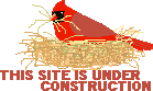 Under Construction